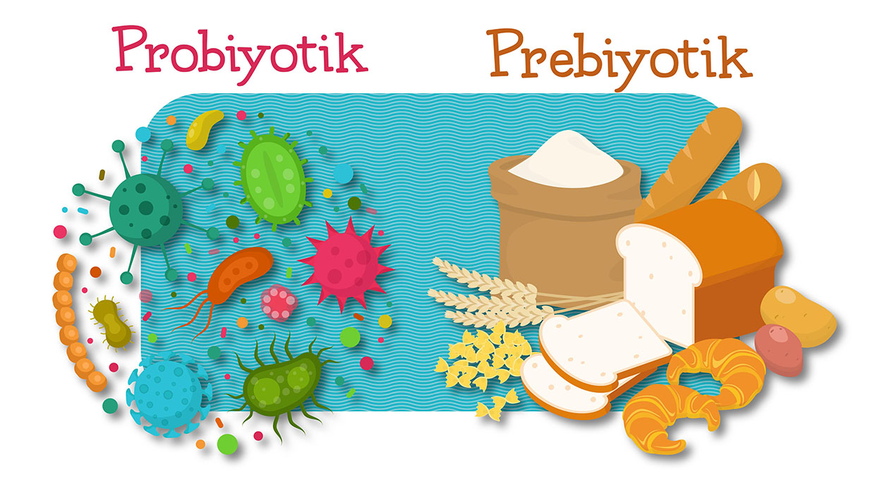 Prebiyotik ve Probiyotik Arasındaki 4 Temel Fark