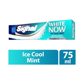 Diş MacunlarıSignalSignal White Now İce Cool Mint 75 ml